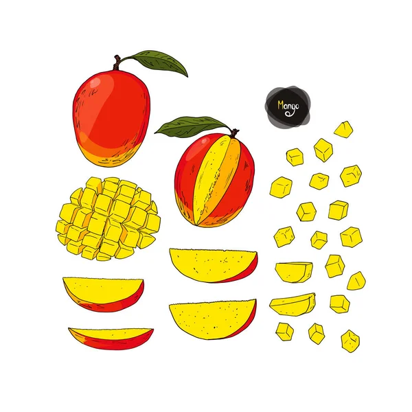 Mango Stile Schizzo Disegnato Mano Sfondo Bianco Illustrazione Colore — Vettoriale Stock