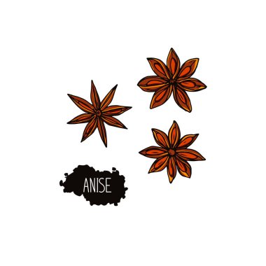 El çizimi eskiz tarzı anason seti. Renk illüstrasyonu. 