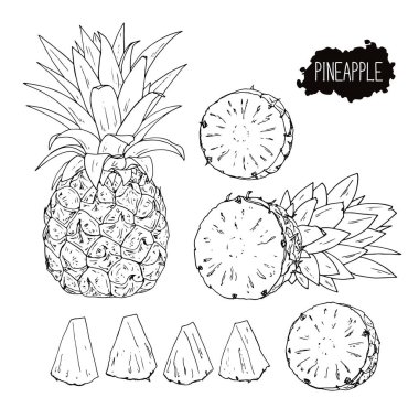 El çizimi çizimi ananas seti. Yarı yarıya ve ananas kes. Vektör illüstrasyonu. 