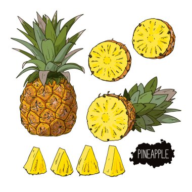 El çizimi çizimi ananas seti. Yarı yarıya ve ananas kes. Renk illüstrasyonu. 