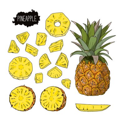 El çizimi çizimi ananas seti. Ananas dilimleri. Renk illüstrasyonu. 