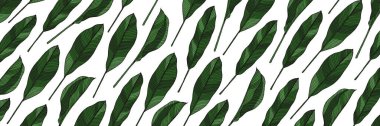 Elle çizilmiş tropikal yapraklarla kusursuz desen. Beyaz arkaplanda helyum yapraklarının ana hatlarıyla grafiksel tasarım.