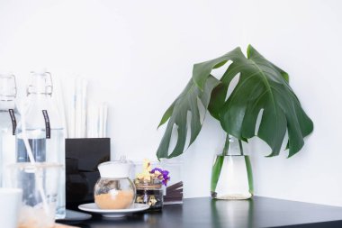 Temiz su şişeleri ve şeffaf vazoda yeşil yaprak hazırlayın. Evdeki beyaz duvar arka planına sahip ahşap masa üzerinde..