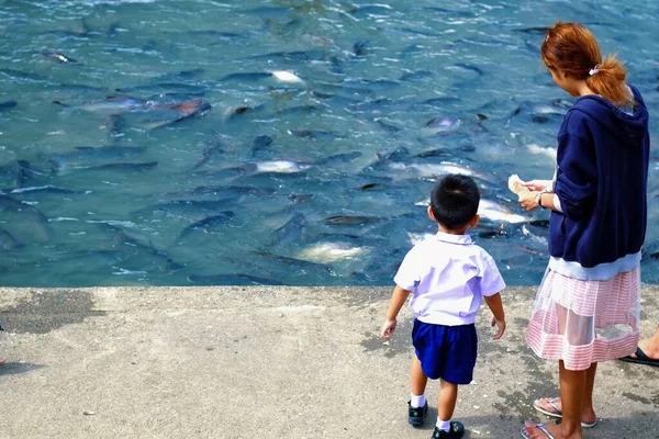 Happy Asian Family Mother Son Feeding Fish Together Riverside Park — Stock Photo, Image