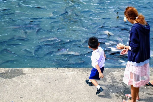 Happy Asian Family Mother Son Feeding Fish Together Riverside Park — Stock Photo, Image