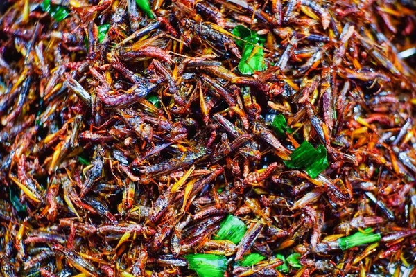 Food insect, Fried crickets ,Thai snacks crispy food popular street foods in Thailand.