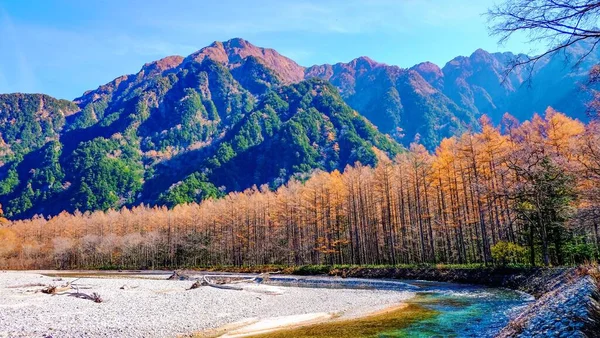 日本长野县日本北部阿尔卑斯山秋叶秀丽的山水清澈 山水清澈 风景秀丽 — 图库照片