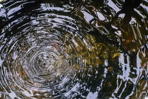 Bovenaanzicht Van Waterdruppels Oppervlaktegolf Ringen Oppervlak Cirkel Watergolven — Stockfoto