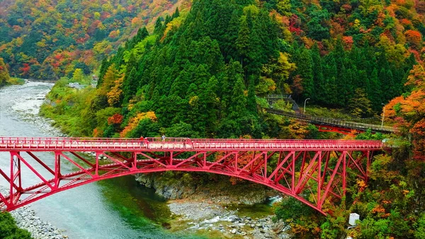 Yamabiko kırmızı köprüleri ve Kurobe Boğazı 'na giden trenle sonbahar sezonu, Toyama, Japonya, yapraklar renk değiştiriyor..
