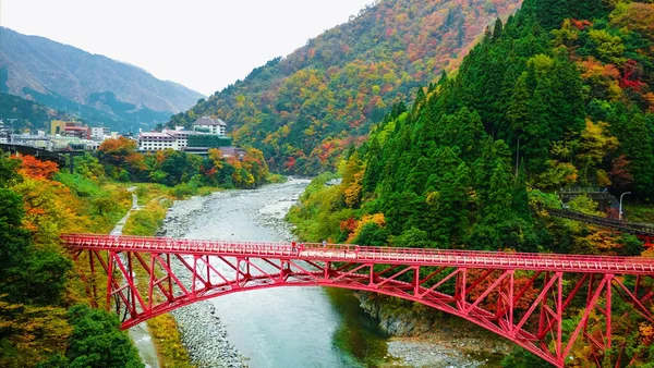 Yamabiko kırmızı köprüleri ve Kurobe Boğazı 'na giden trenle sonbahar sezonu, Toyama, Japonya, yapraklar renk değiştiriyor..