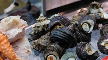 Japon pazarında buzdaki taze dev istiridye grubunu kapatın..