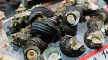 Japon pazarında buzdaki taze dev istiridye grubunu kapatın..