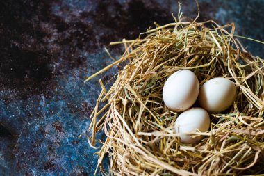 Yuva samanındaki taze organik beyaz yumurtaların üst görüntüsü..