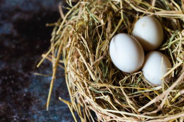 Yuva samanındaki taze organik beyaz yumurtaların üst görüntüsü..