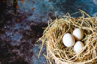 Yuva samanındaki taze organik beyaz yumurtaların üst görüntüsü..