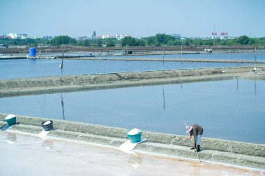 Tayland 'da tuz tarlasında çalışan bir işçi..