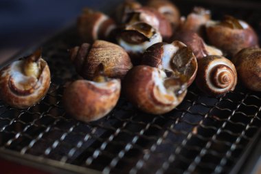 Kömür ocağında ızgara yapan Spiral Babylon Salyangoz 'u kapatın. Deniz ürünleri bbq açık havada .