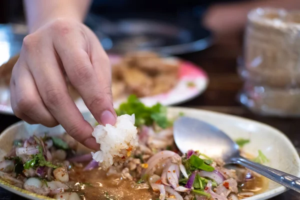 끈적끈적 돼지고기 샐러드를 접시에 소스를 돼지고기 허브에 — 스톡 사진