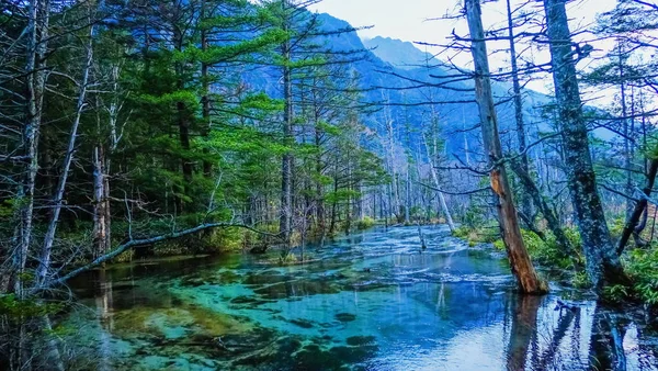 秋季卡米科奇国家公园清水湖绿树成林 山地背景的自然景观景观 — 图库照片