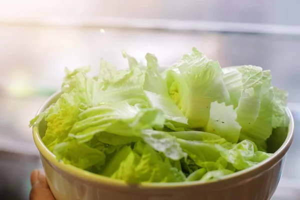 Świeże Warzywa Organiczne Sałatka Zielona Kapusta Chińska Misce — Zdjęcie stockowe