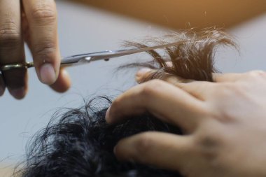 Bir demet Yıldız Bektaşi üzümü meyvesi. Phyllanthus acidus, Otaheite Bektaşi üzümü olarak bilinir.