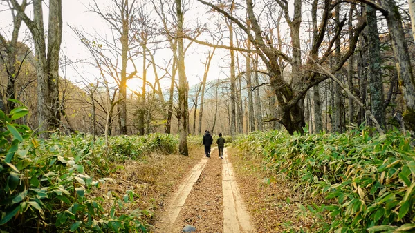 Casal Turista Caminhando Floresta Caminho Madeira Temporada Outono Com Fundo — Fotografia de Stock