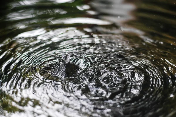 Bovenaanzicht Van Waterdruppels Oppervlaktegolf Ringen Oppervlak Cirkel Watergolven — Stockfoto