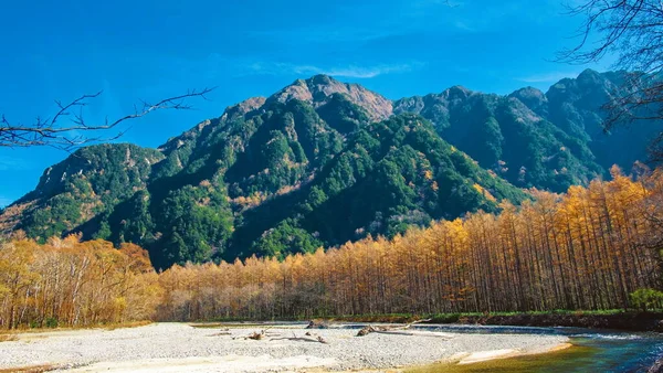 日本长野地区日本北部阿尔卑斯山脉秋天美丽的自然景观 卡米科奇国家公园 绿叶变幻 水河清澈 — 图库照片