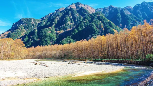 日本长野地区日本北部阿尔卑斯山脉秋天美丽的自然景观 卡米科奇国家公园 绿叶变幻 水河清澈 — 图库照片