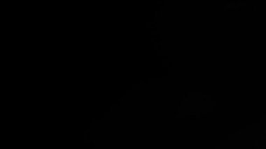 Optik lens patlaması, ışık sızıntısı, ışık sızıntısı, doğal lamba ışığı efekti, Light Horizon, ışık titreşimleri ve parıltı, gerçek mercekli güzel ışık sızıntısı 