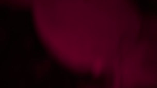光学レンズフレア 光漏れ スタジオフレア フラッシュライト 自然照明ランプ光線効果 光地平線 光パルスと光 暗い背景に美しい光漏れとリアルレンズフレア — ストック動画