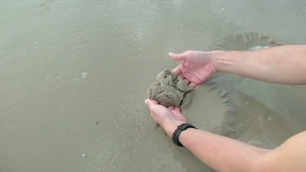 Руки Человека Держат Песчаные Маленьким Милым Крабом Пляже — стоковое видео