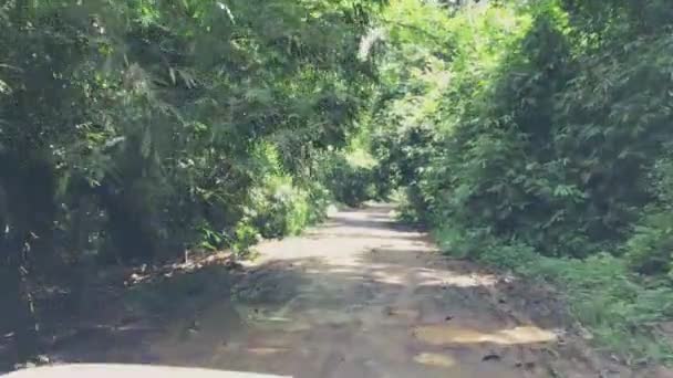 Pov Disparo Conducir Coche Través Tierra Camino Abierto Selva Tropical — Vídeos de Stock