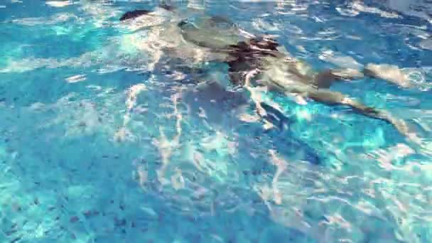夏休みの休日の週末に太陽と水面の反射を持つスイミングプールで澄んだ水の下でダイビングを楽しむ若い男 — ストック動画