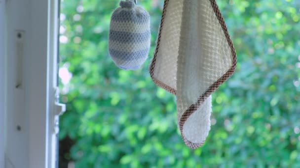 Paño Toalla Mano Blanco Colgando Ventana Con Vegetación Fondo Naturaleza — Vídeos de Stock