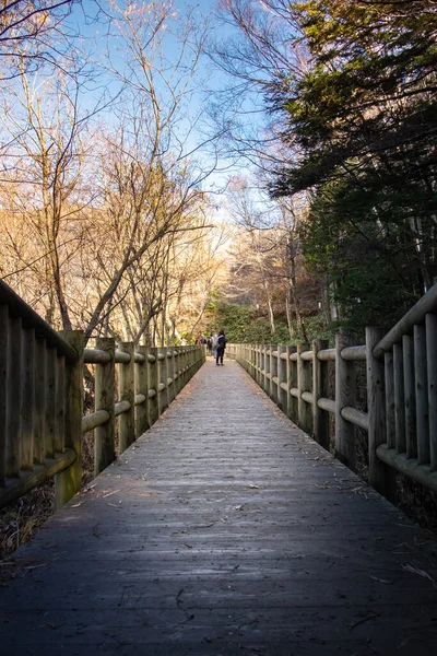 日本の上高地国立公園では 秋の森への木製の橋 — ストック写真