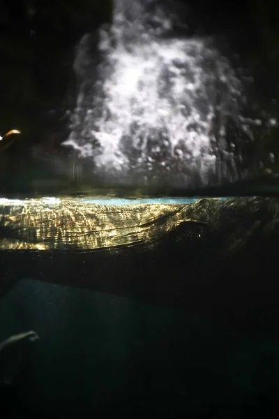 Boomstam Onder Water Water Spetterend Bovenop Met Zonneschijn Zien Eruit — Stockfoto