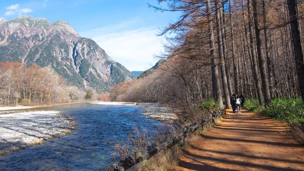 秋秋季节 日本北部卡莫奇国家公园的浅川河和落叶松 与游客一起徒步走进大自然的小径 — 图库照片