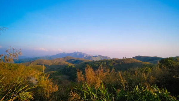 Sabahleyin dağın tepesindeki tropikal doğa manzarası. Tayland 'da çayır otları ve güzel mavi gökyüzü..