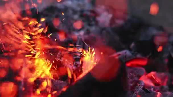 从炽热的篝火炭燃烧着的炽热的飞行火花的近景 — 图库视频影像