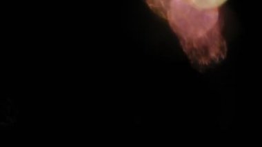 Işık sızıntısı, doğal ışık ışını efekti, ışık titreşimleri ve parıltı, koyu arkaplandaki güzel ışık sızıntısı, gerçek mercek alevi, opaklığı veya ekranı kullanarak videonuzu sızıntıyla kaplayın..