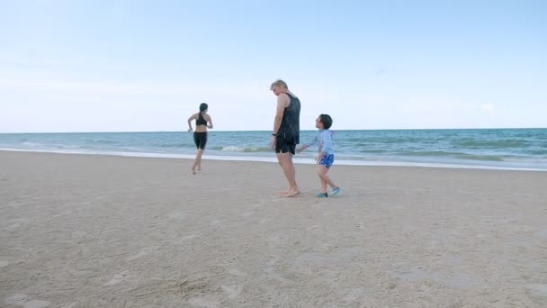 Vista Trasera Felicidad Familia Disfrutar Caminando Juntos Playa Tropical Arena — Vídeos de Stock