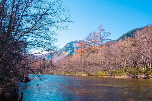 Paysage Vue Nature Rivière Couleurs Feuilles Arbres Changé Bleu Ciel — Photo