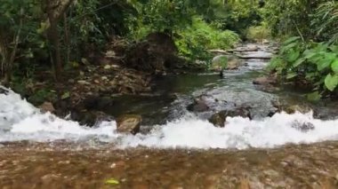Tayland yağmur ormanlarında akan su dağı deresi
