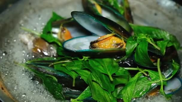 Cozze Bollenti Bollenti Pentola Calda Con Ingredienti — Video Stock