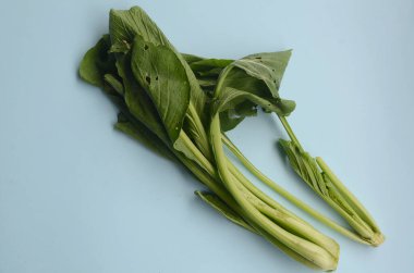 Hardal yeşillikleri mavi arkaplanda kopyalama alanı ile