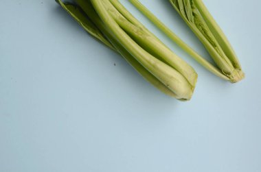 Hardal yeşillikleri mavi arkaplanda kopyalama alanı ile