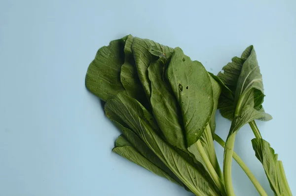 mustard greens on a blue background with copy space