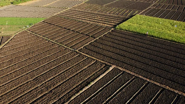 Autostrada Przecinająca Południową Część Wyspy Java Indonesia — Zdjęcie stockowe