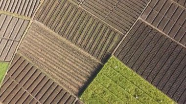 Arazinin havadan görüntüsü ekime hazır. Yerleştirmeden önce toprak sıraları